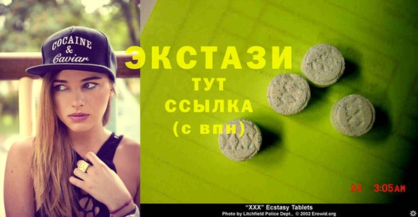 шишки Инсар