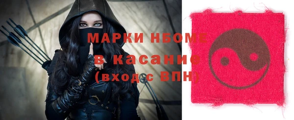 шишки Инсар