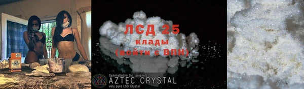 спиды Инта