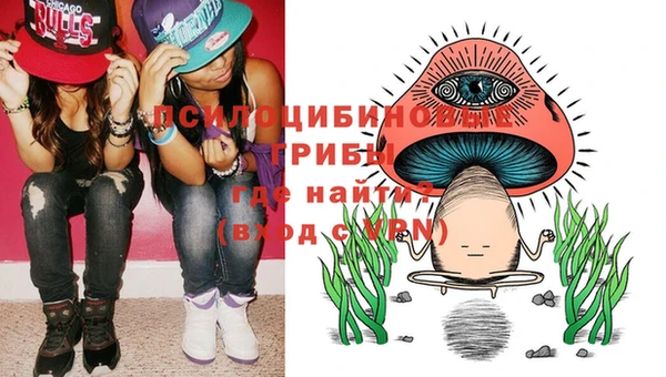 шишки Инсар