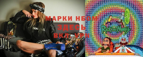 шишки Инсар