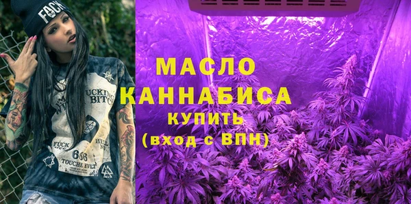 шишки Инсар