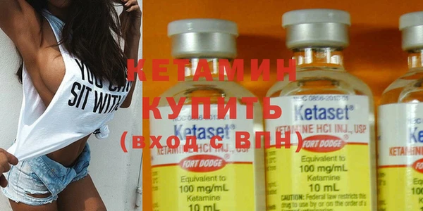 шишки Инсар