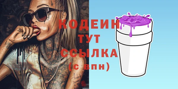 шишки Инсар