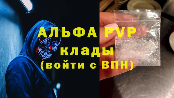 спиды Инта