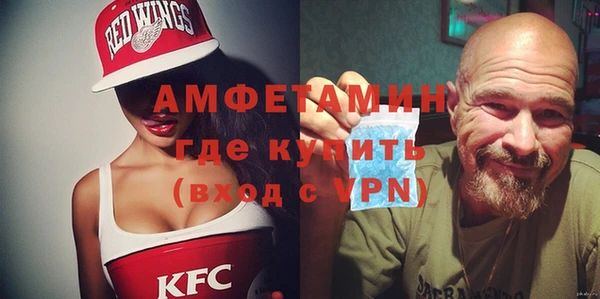 шишки Инсар