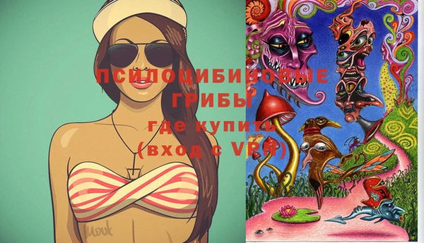 шишки Инсар
