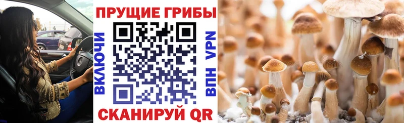 закладка гидра зеркало Галлюциногенные грибы Magic Shrooms Междуреченск