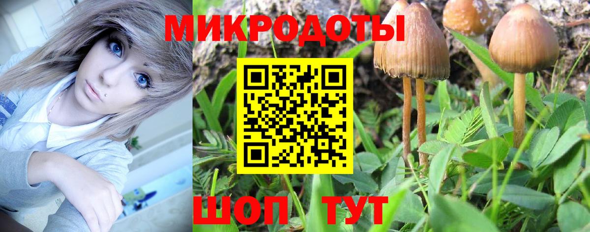 Галлюциногенные грибы мицелий  Вход с VPN  Междуреченск 