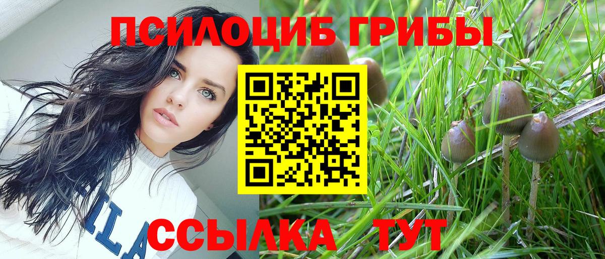 Галлюциногенные грибы ЛСД Междуреченск